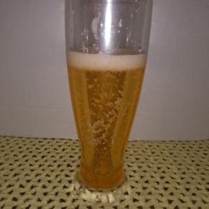 PLASTIC Beer  glass